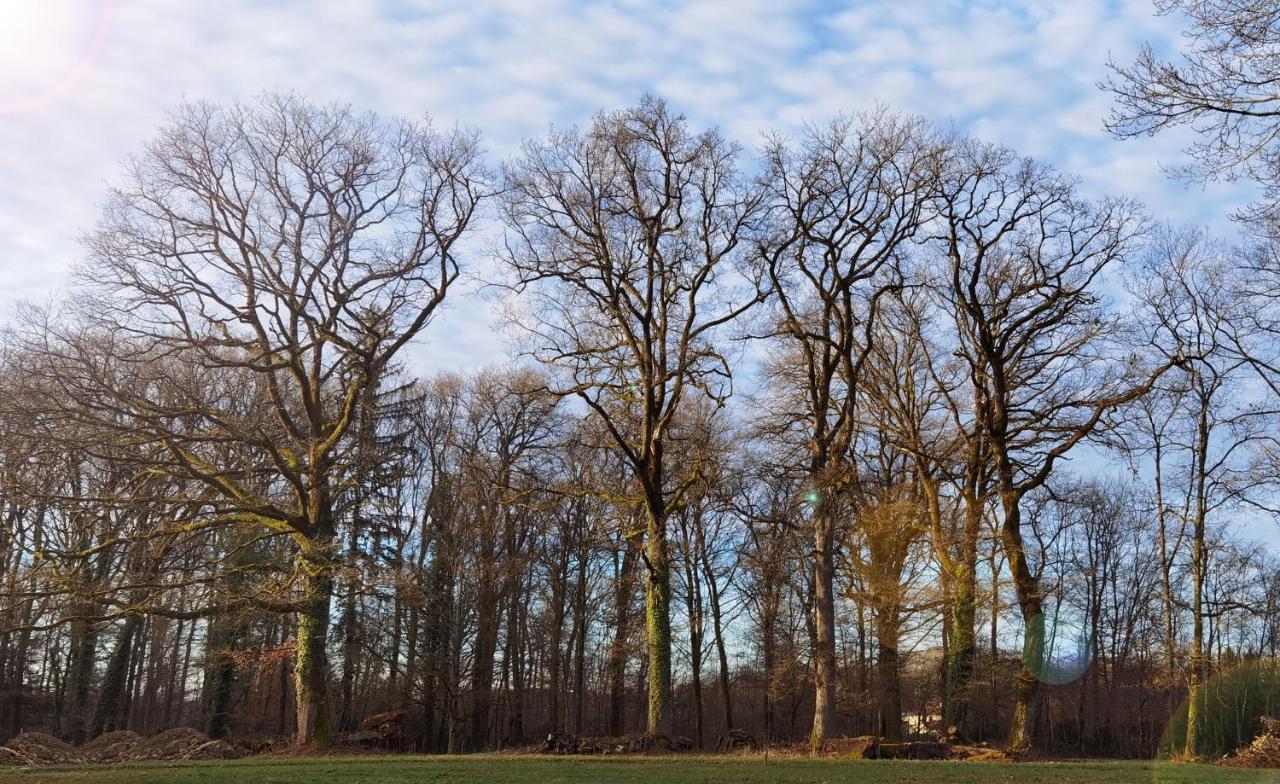 Appartamento Aux Domaines D'Automne Peronnas Esterno foto