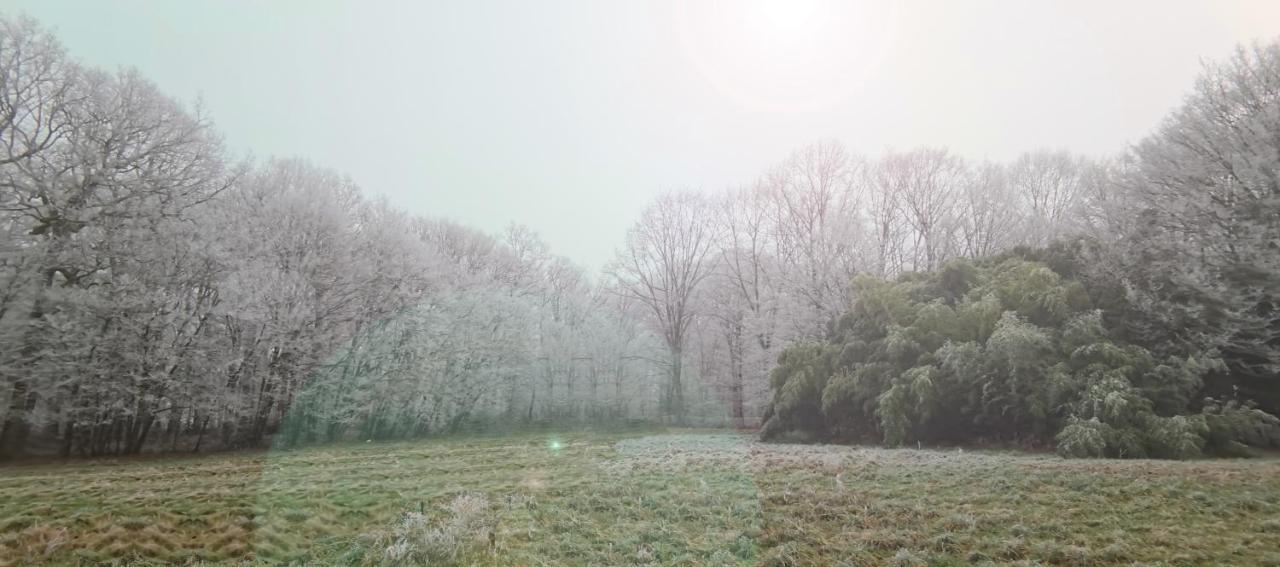 Appartamento Aux Domaines D'Automne Peronnas Esterno foto