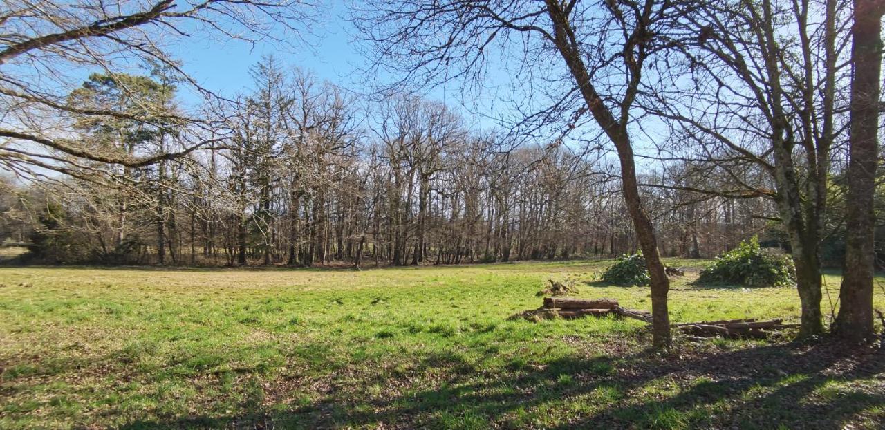 Appartamento Aux Domaines D'Automne Peronnas Esterno foto
